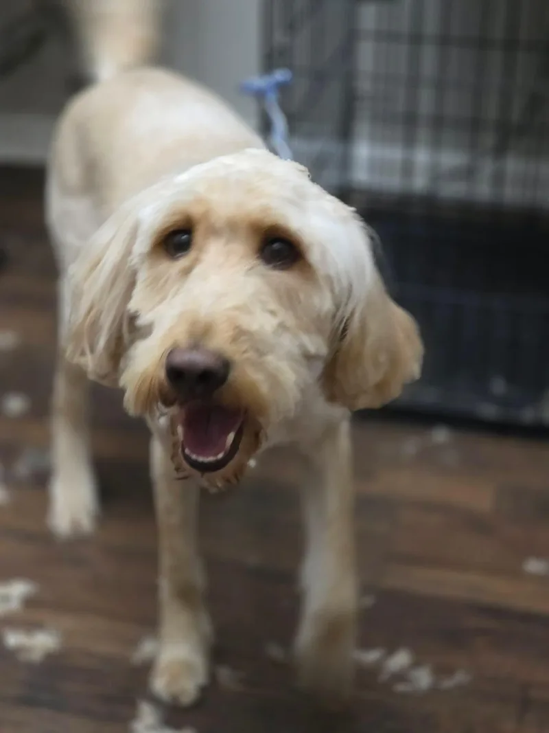 Molly thumbnail 3