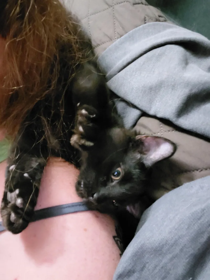 Sebastian thumbnail 2