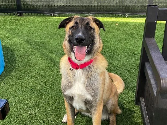 Kona