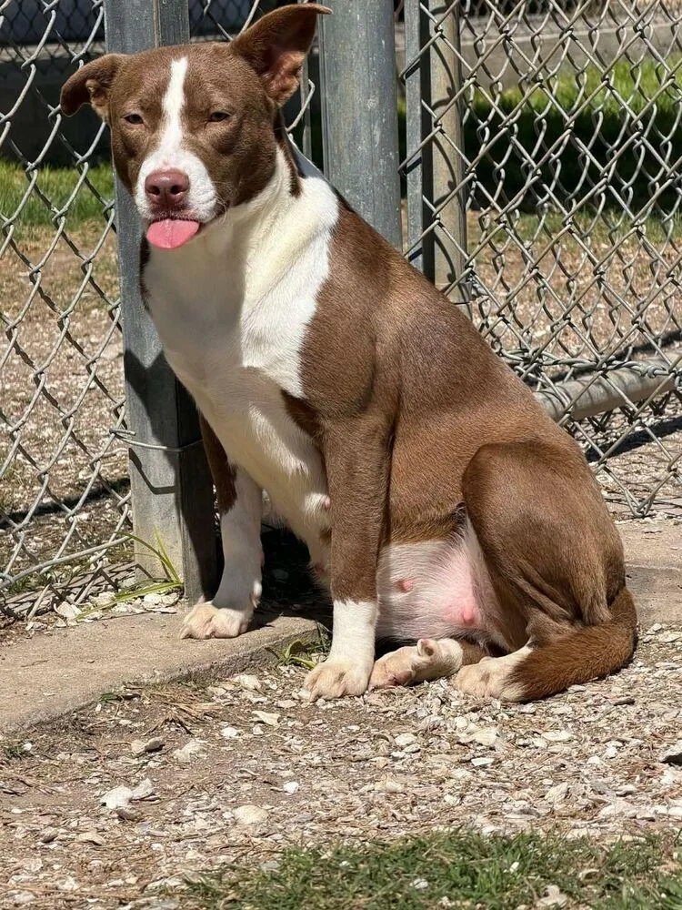 Louise A thumbnail 2