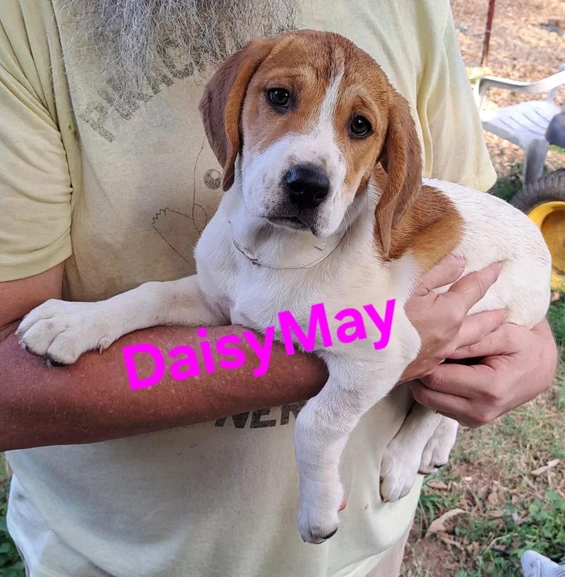 Daisy May thumbnail 2