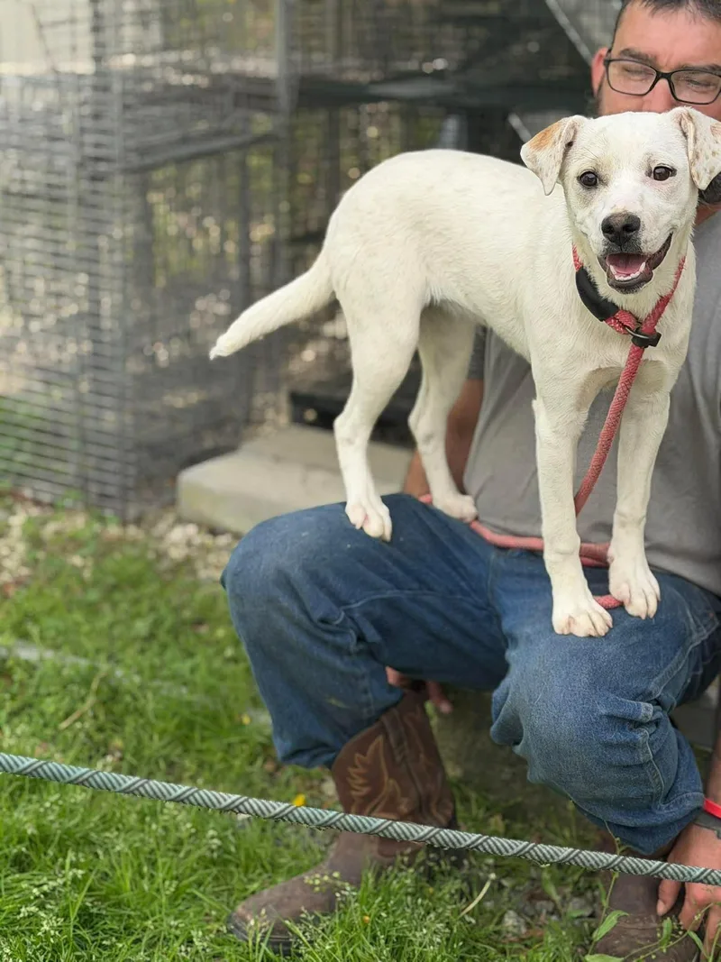 Marley & Mandy thumbnail 2