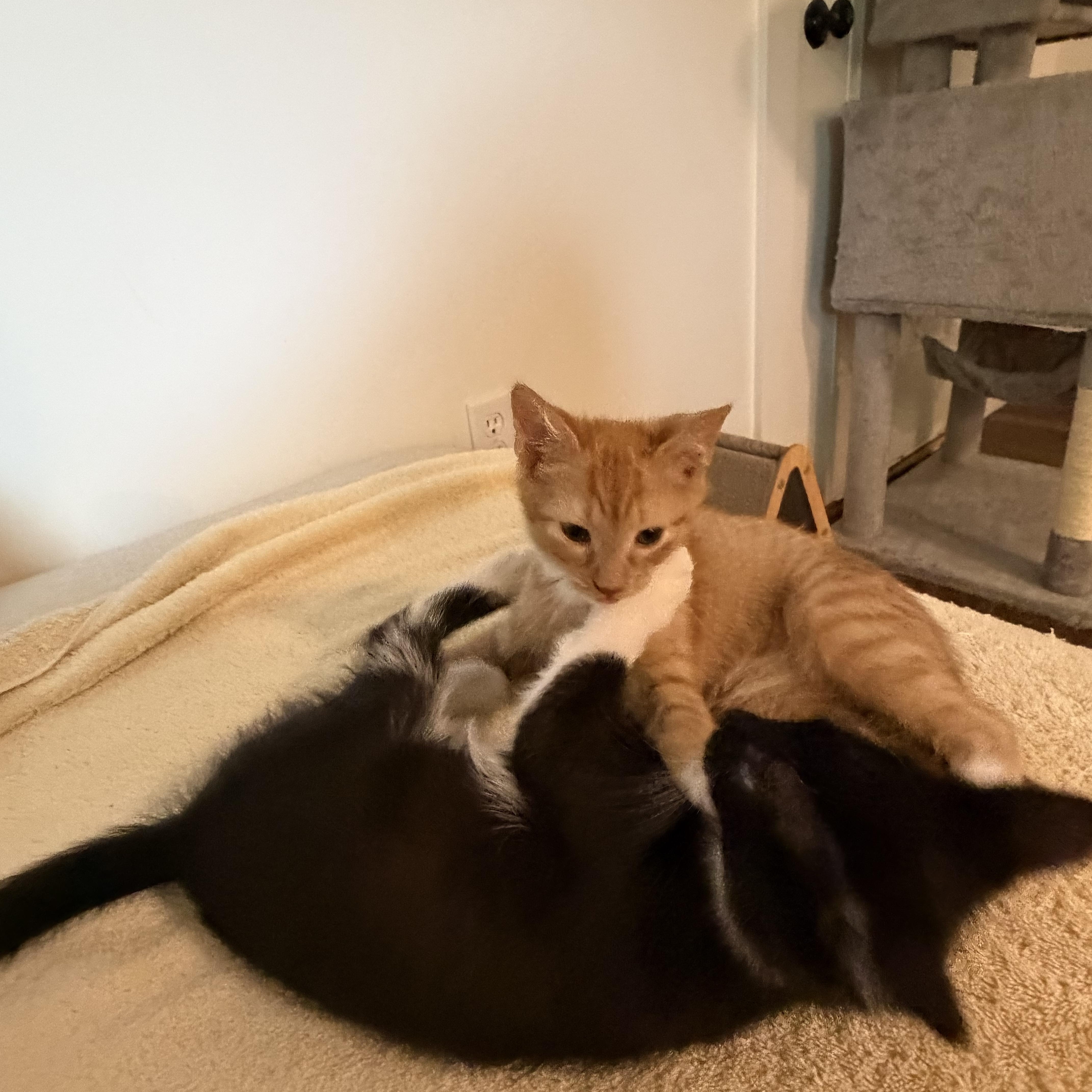 Skipper & Sailor thumbnail 4