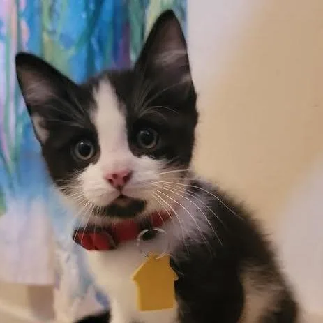 Raphael Check Out My