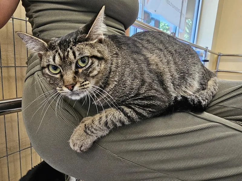 Turquoise thumbnail 3