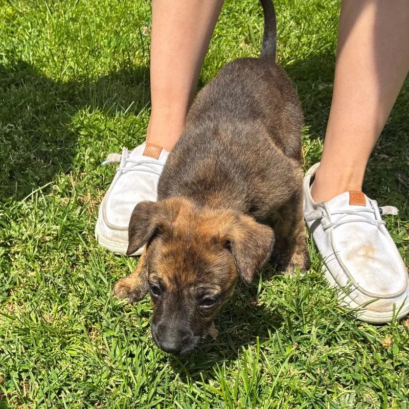 Little Bit thumbnail 2