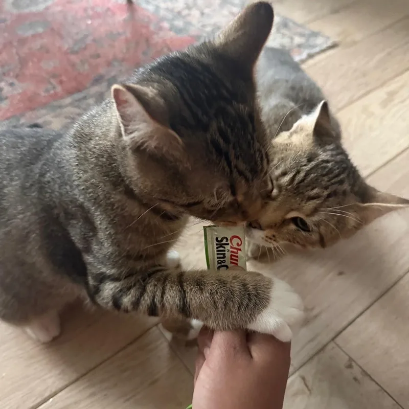 Sugar Rush And Sweet thumbnail 2