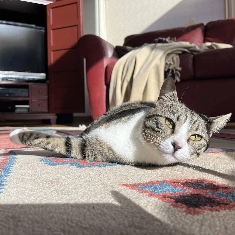 Pepper thumbnail 6