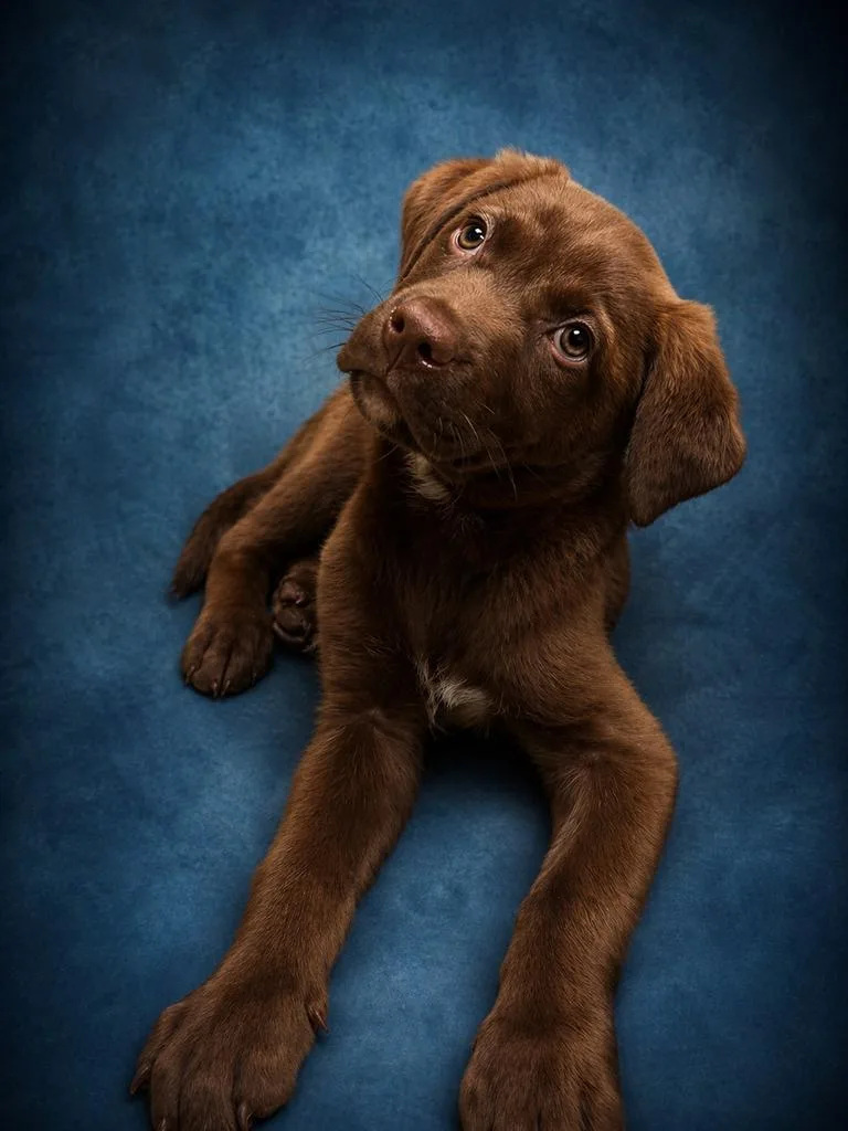 Otis Earl