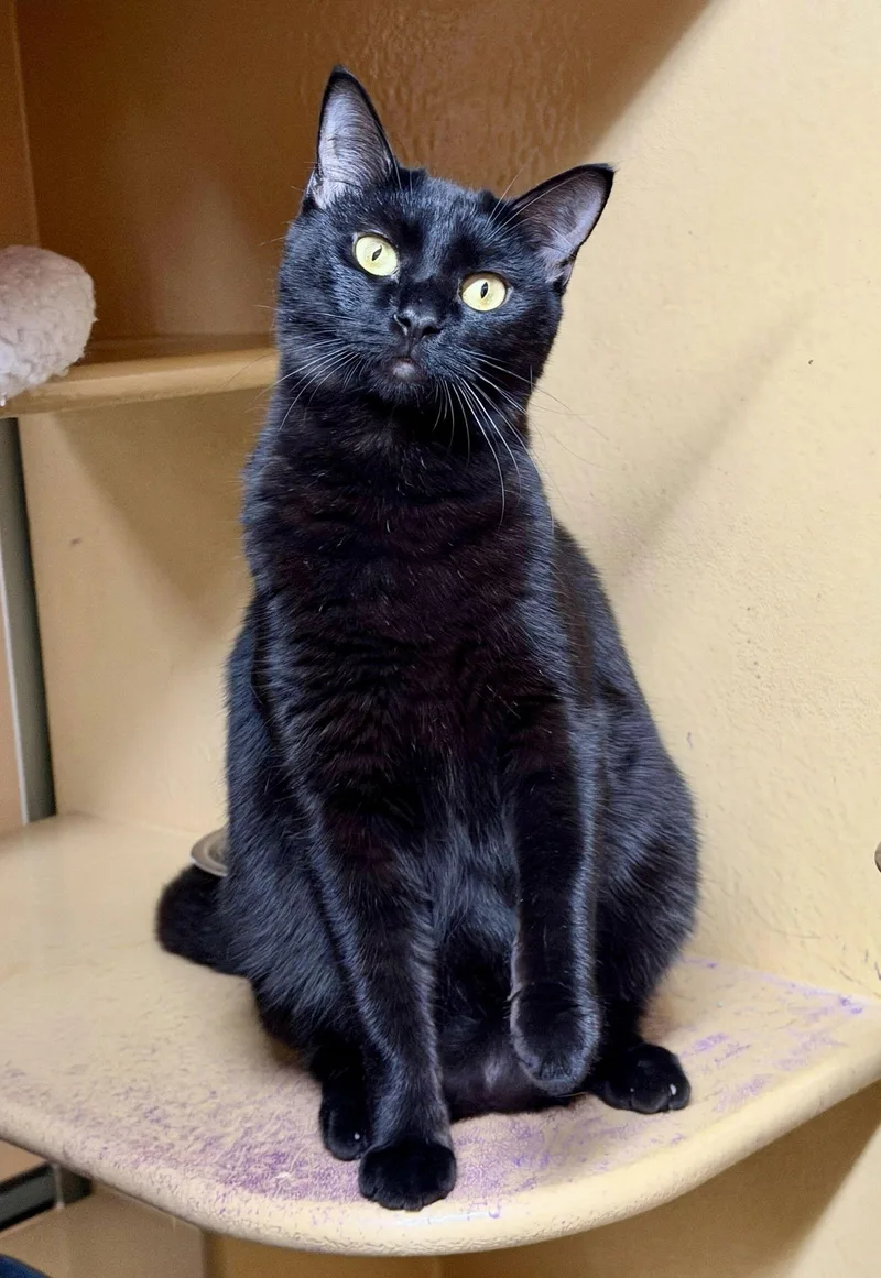 Haleakala thumbnail 2