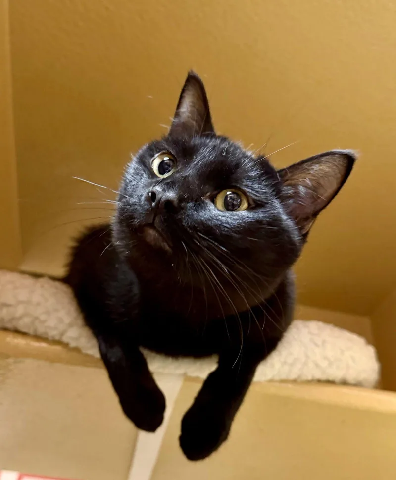 Haleakala thumbnail 3