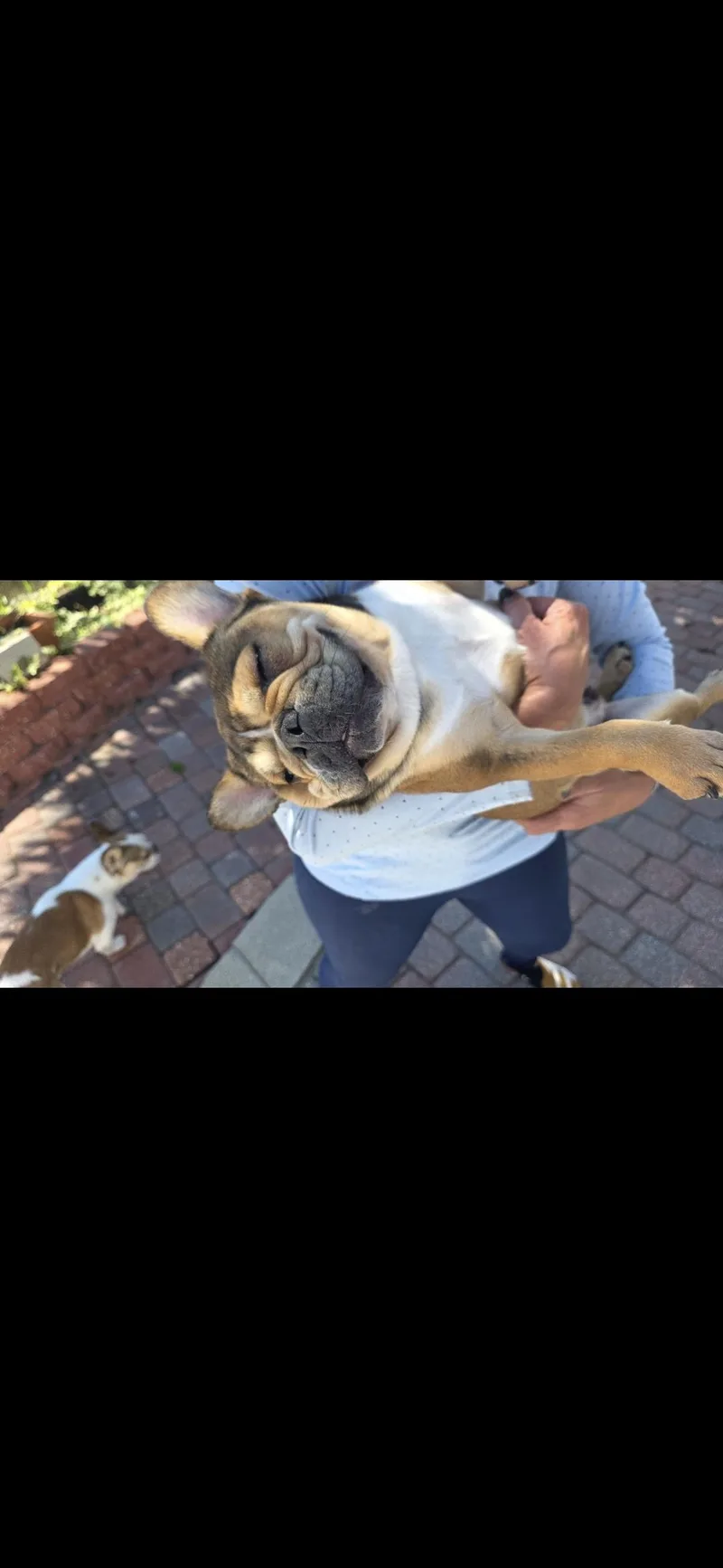 Austin thumbnail 2