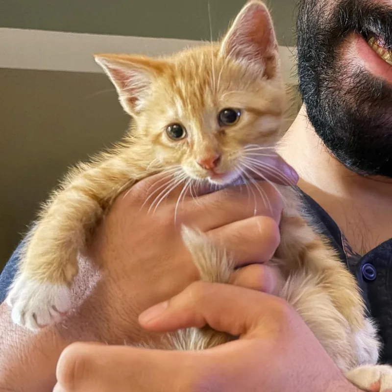 Eddie thumbnail 2