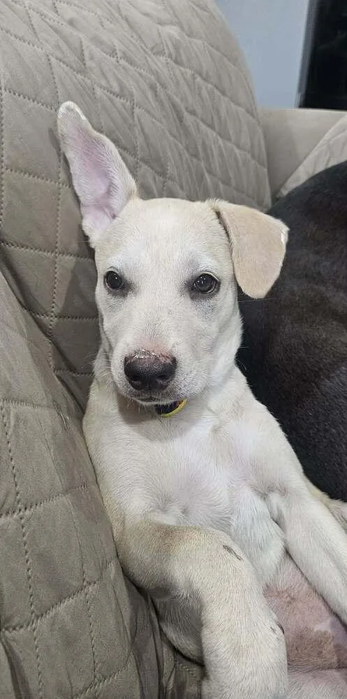 Mel thumbnail 2