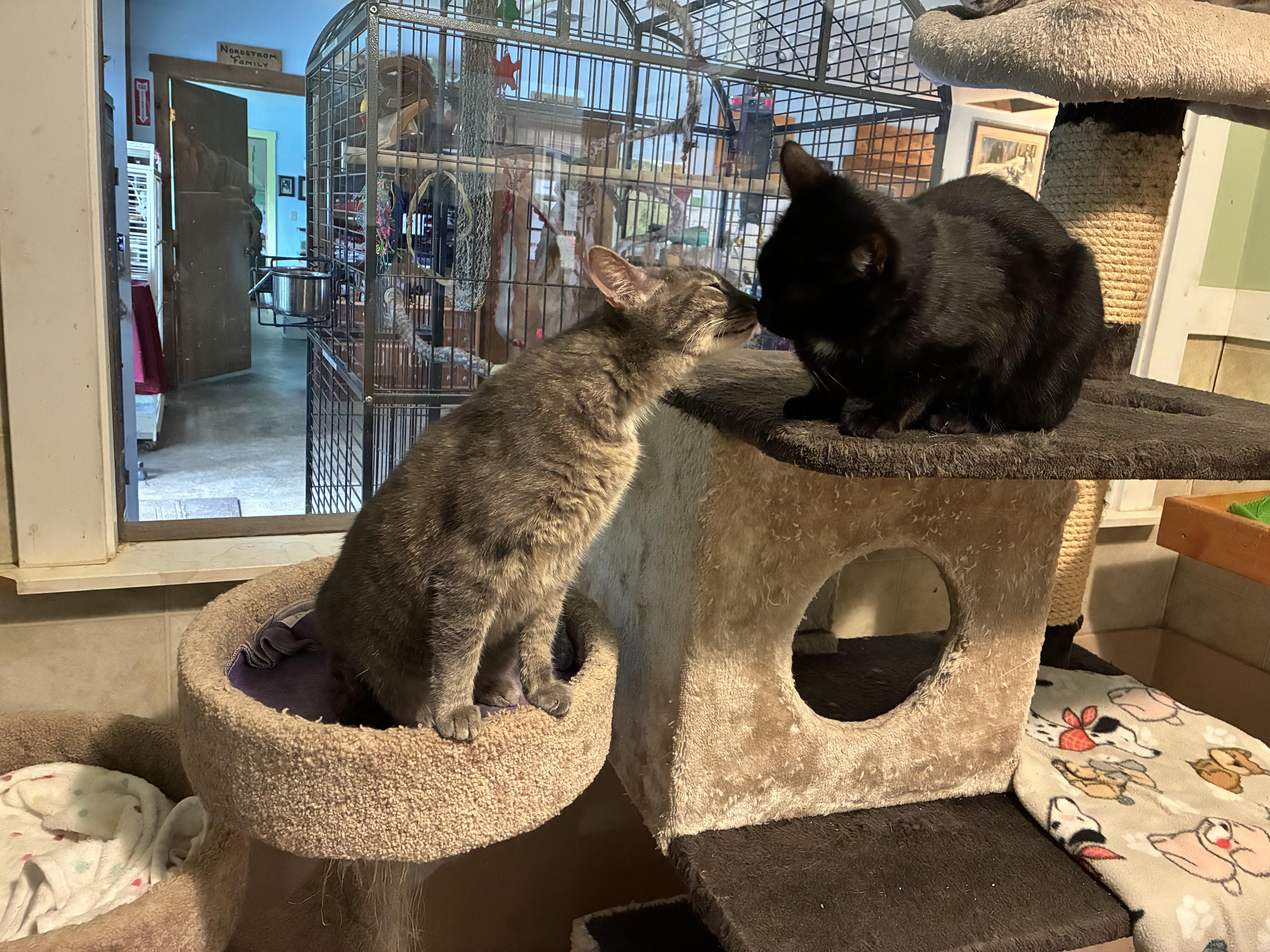 Salish And Amber thumbnail 2