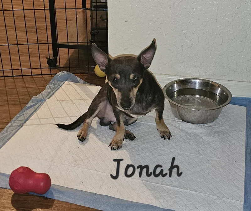 Jonah thumbnail 3