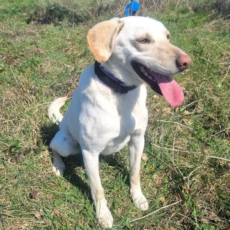 Elly thumbnail 5