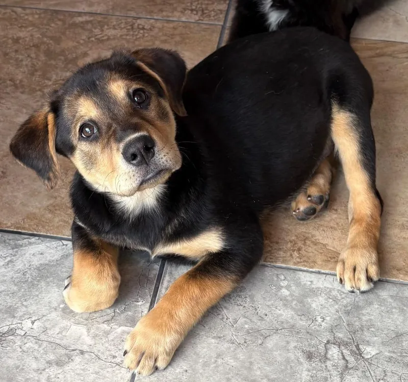 Eren Niden thumbnail 2