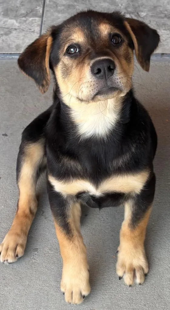 Eren Niden thumbnail 3