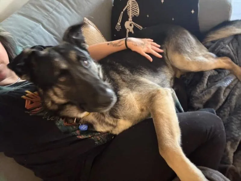 Casanova thumbnail 3