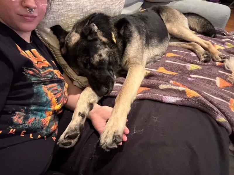 Casanova thumbnail 4