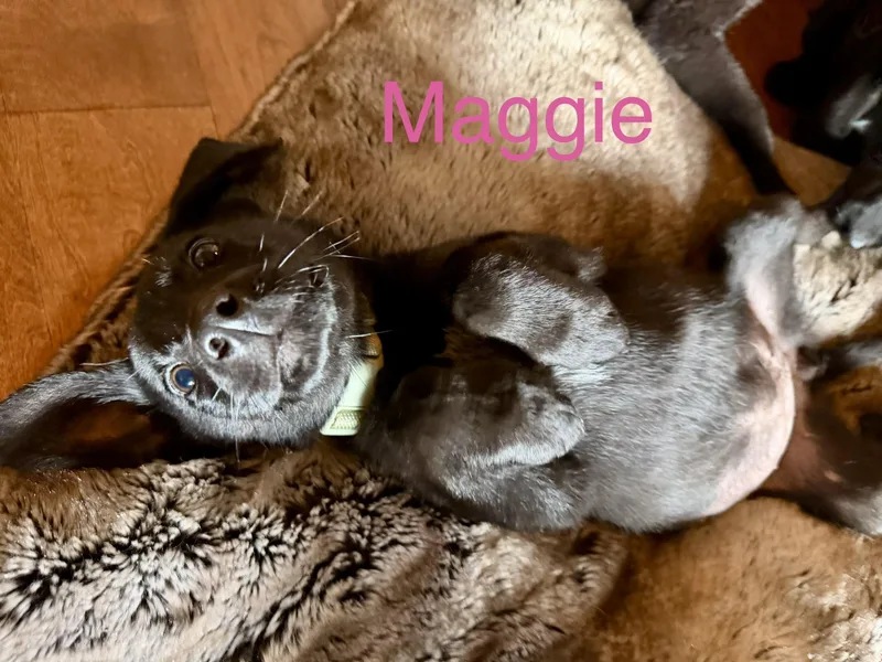 Maggie thumbnail 2