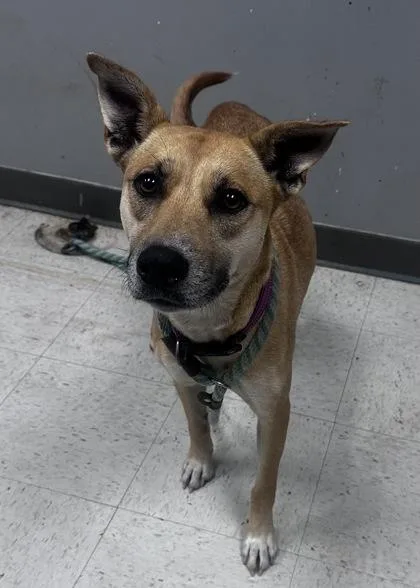 Kaylee Ann thumbnail 2