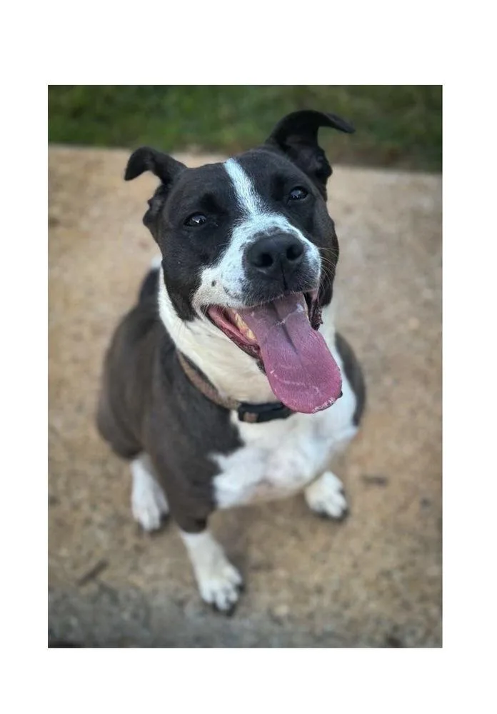 Sadie