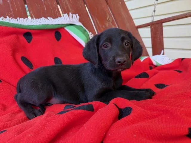 Sunni Style thumbnail 5