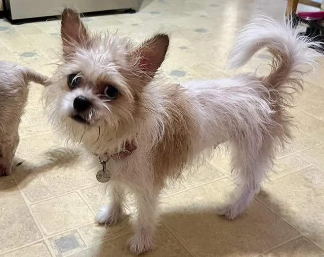 Miley thumbnail 2