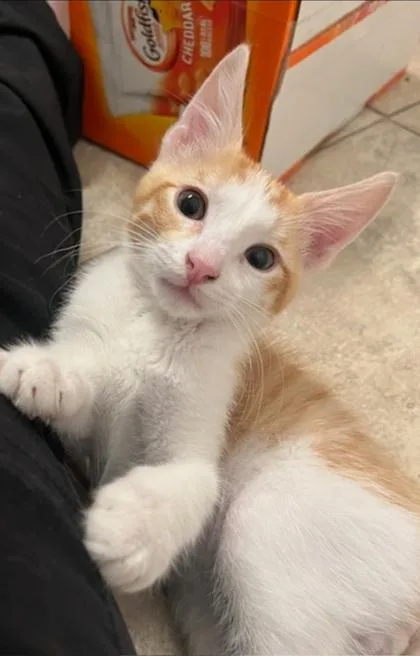 Andy thumbnail 2