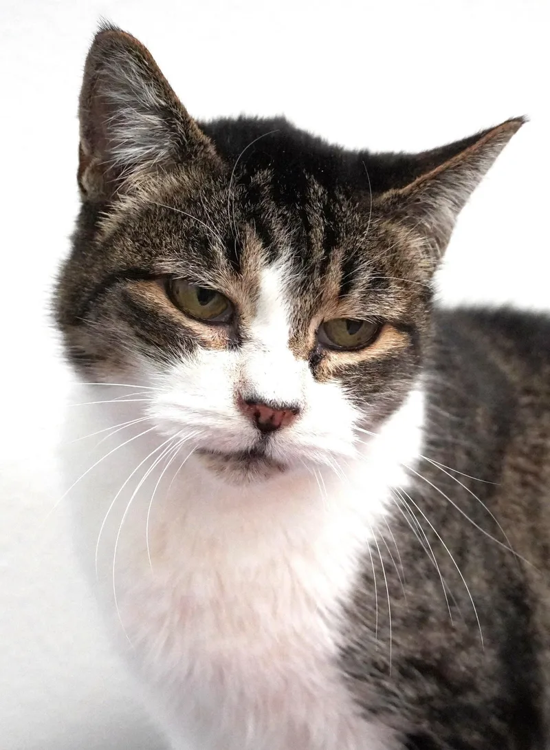 Mildred thumbnail 2