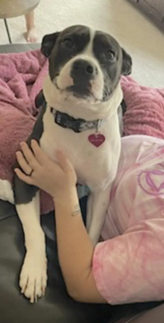 Katie thumbnail 2