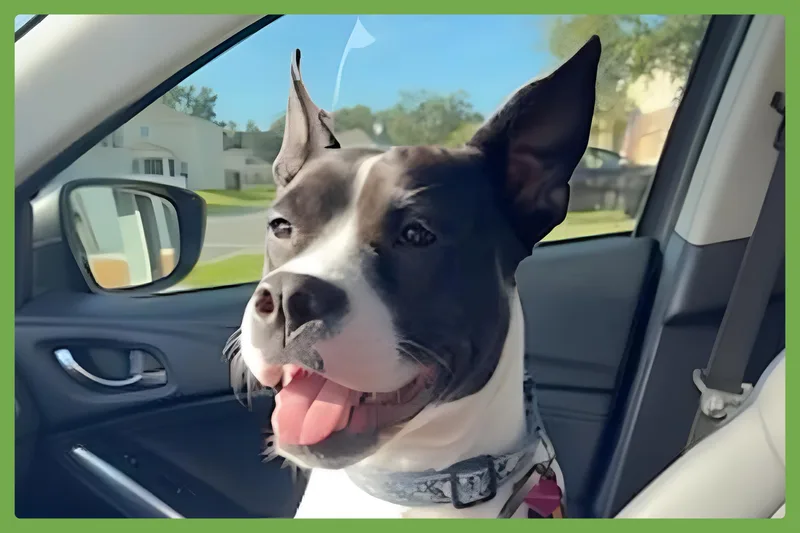 Katie thumbnail 3