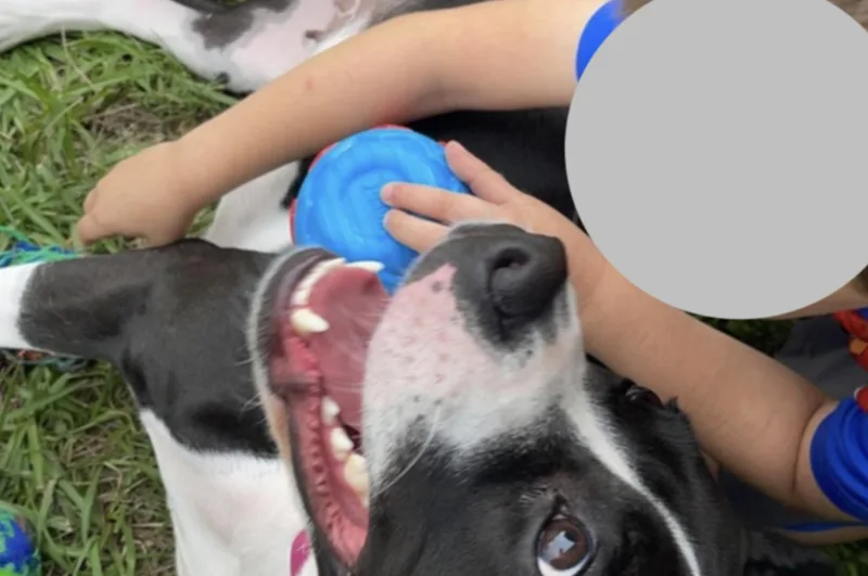Katie thumbnail 4