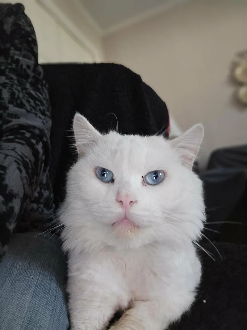 Jeremiah thumbnail 2