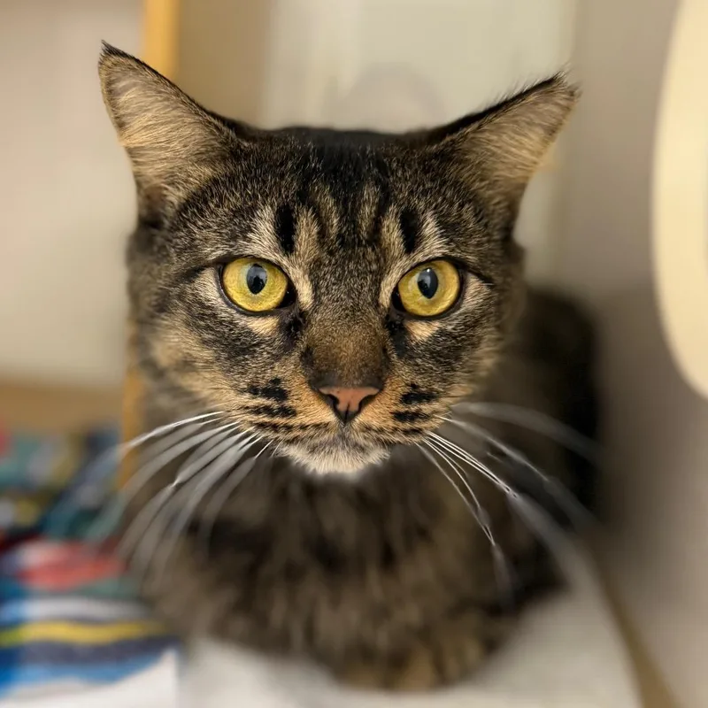 June Bug thumbnail 5