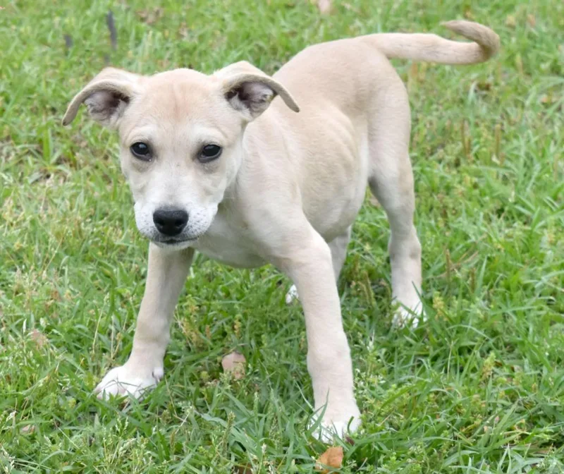 Halftime thumbnail 2