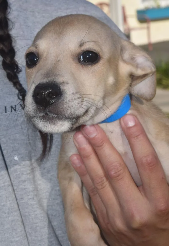 Halftime thumbnail 3