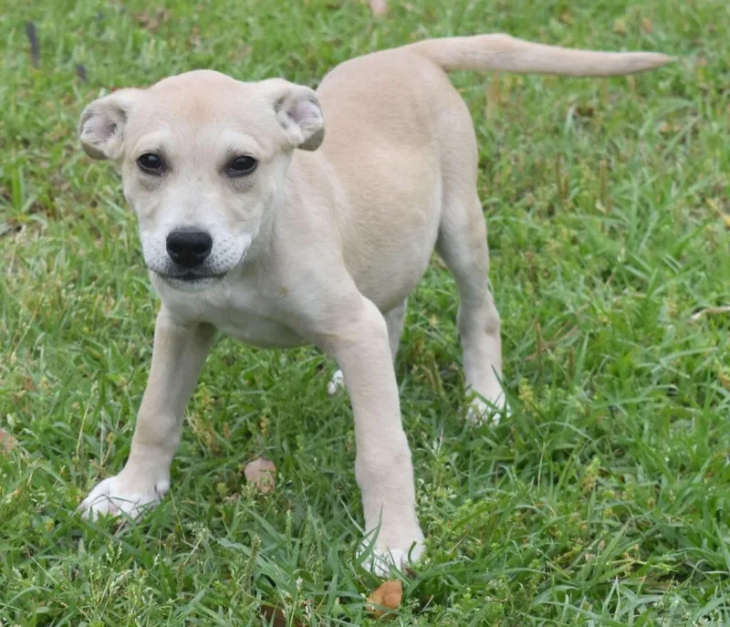 Halftime thumbnail 4