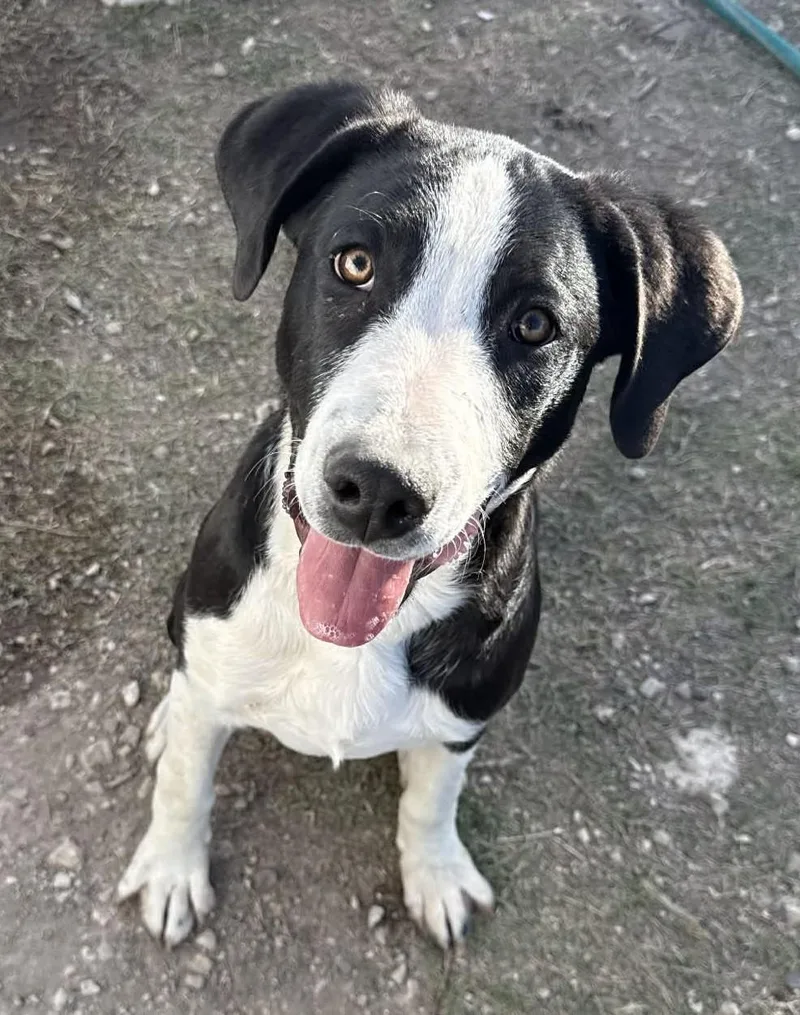 Slightly thumbnail 2