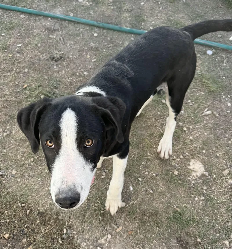 Slightly thumbnail 3