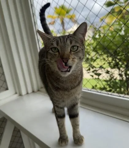 Tinkerbell thumbnail 2