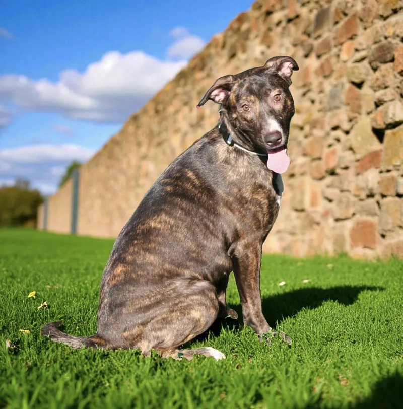 Ivy Garden ~ Loves thumbnail 3