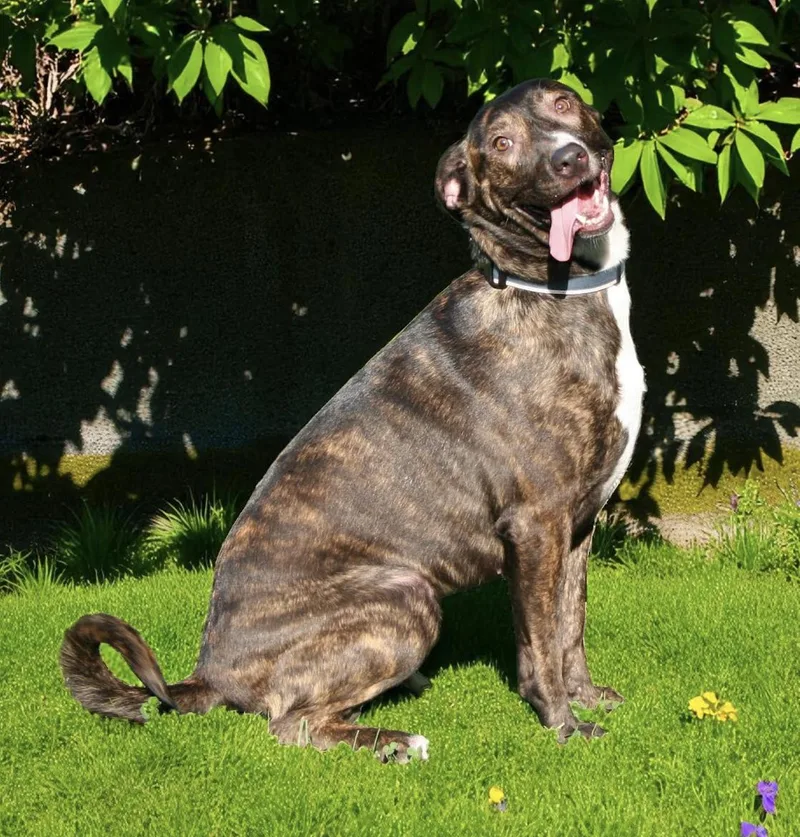 Ivy Garden ~ Loves thumbnail 5