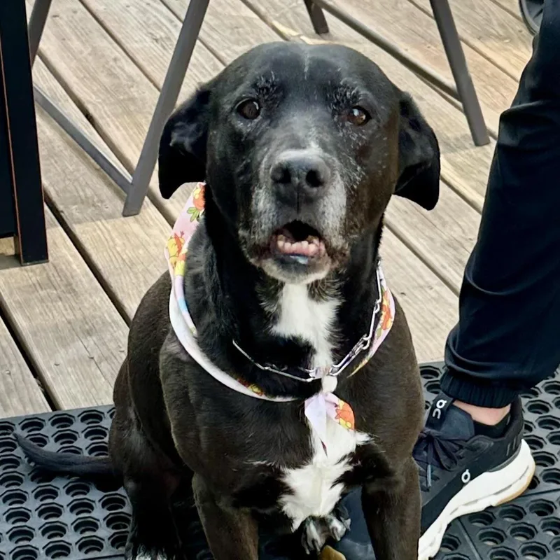 Annie In Colorado