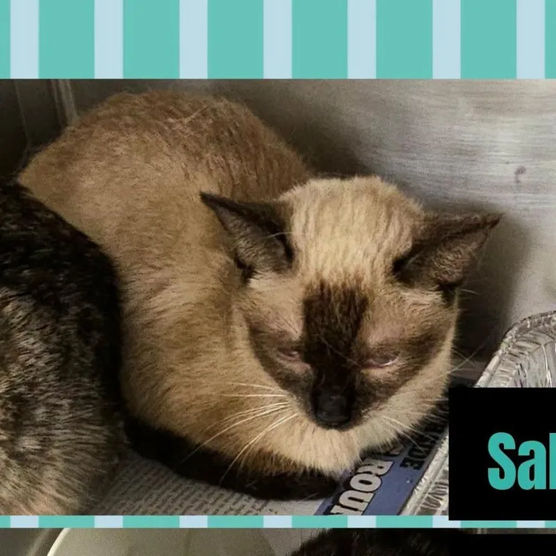 Sabrina thumbnail 4