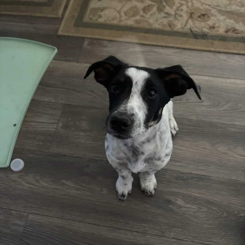 Parker thumbnail 2
