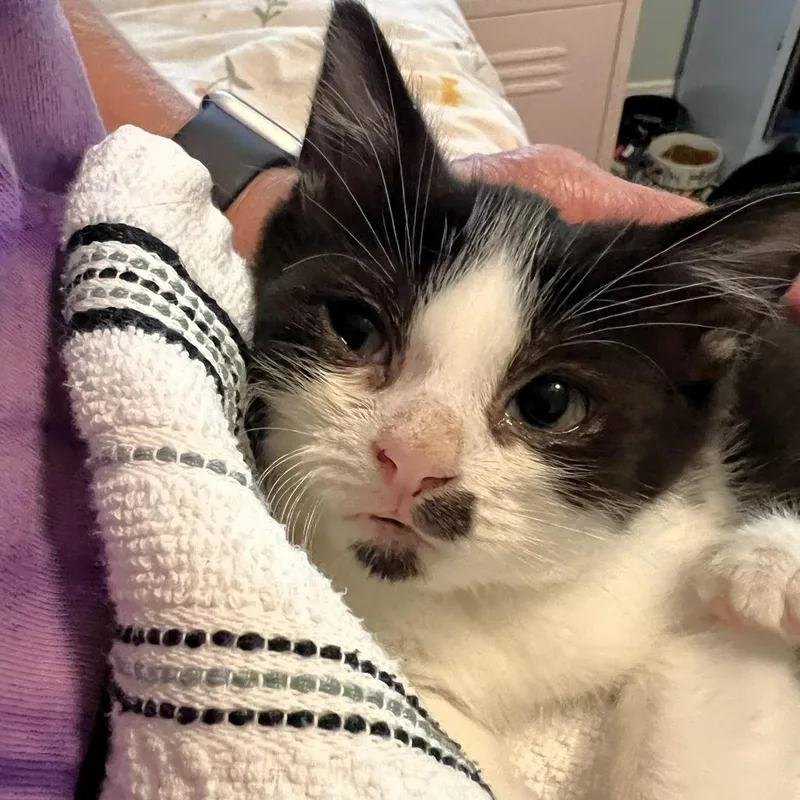 Pepper thumbnail 2