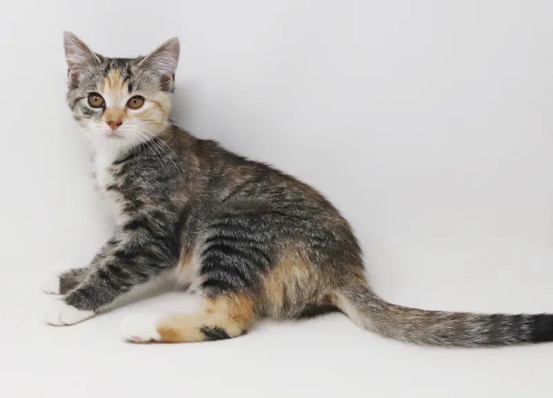 Martha is a dorky thumbnail 3
